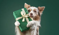 dog gift boxes australia