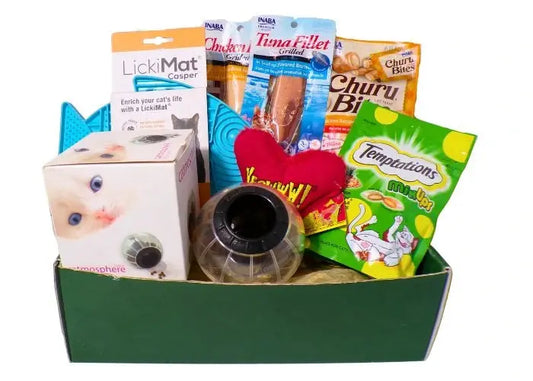 Cat Gift Box with toys treats and interactive treat dispenser