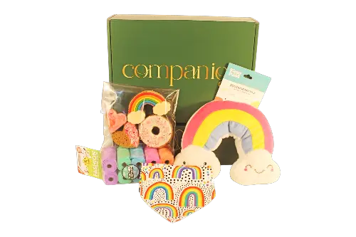 Everything Rainbows Dog Gift Box with colorful dog accessories.