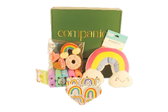 Everything Rainbows Dog Gift Box with colorful dog accessories.