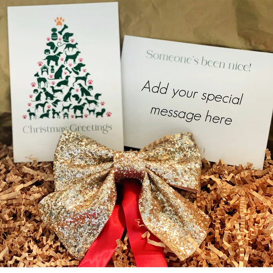 Christmas Card with Pet Gift Box