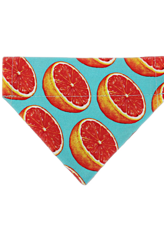 Pet Bandana for dogs and cats, comfortable and trendy