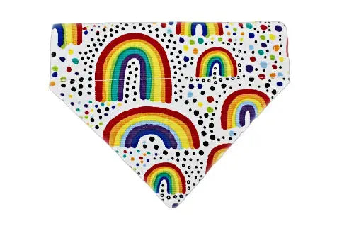 Colorful rainbow dog bandana in various sizes.