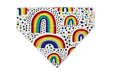 Colorful rainbow dog bandana in various sizes.