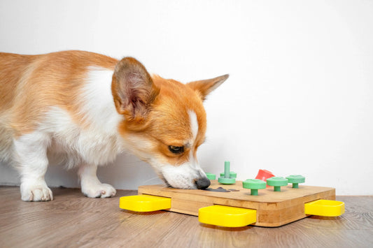 Dog Toys Corgi interactive puzzle feeder