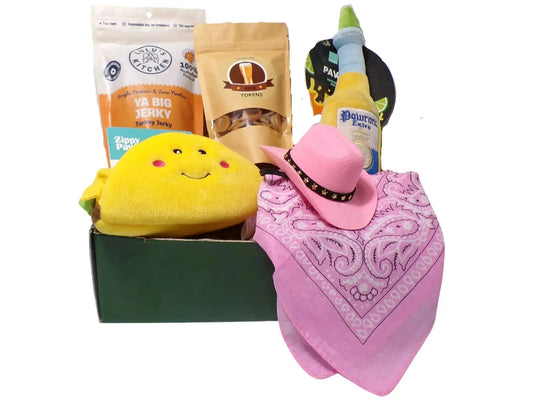 dog gift box