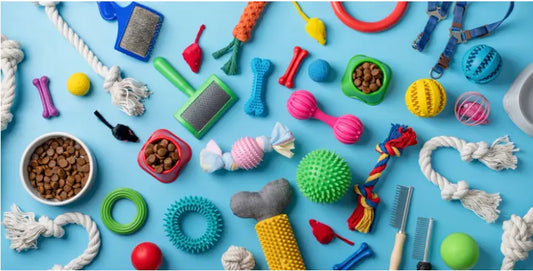Dog toy box with must-have toys for every play style