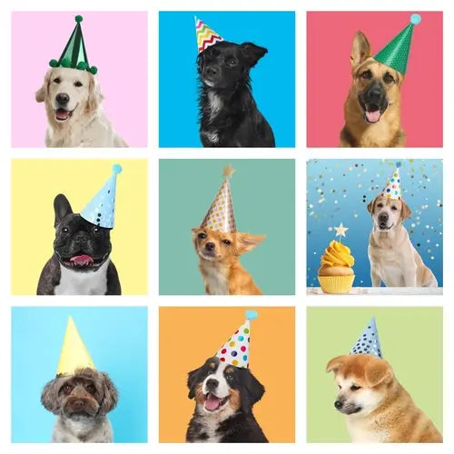 dog gifts