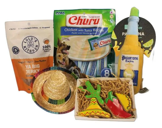 Dog Gifts