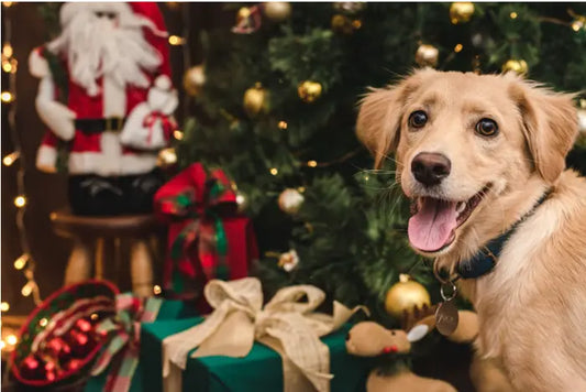christmas hampers Australia