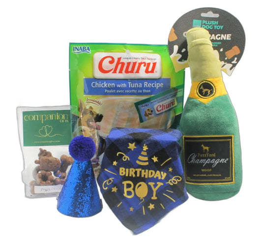 Dog party hat and gift box with treats and toys