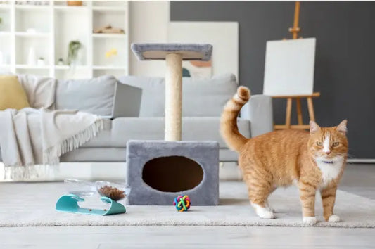 Cat Gifts and accessories