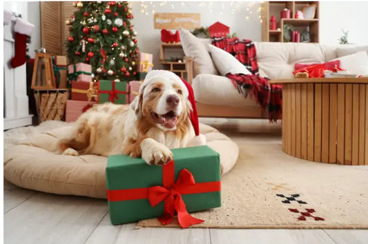 dog Christmas gifts
