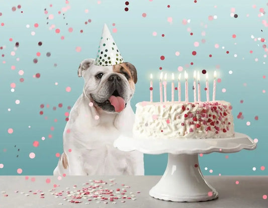 Dog Gift Dog Cake Dog party hat