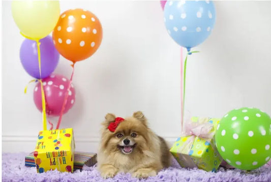 Unique Dog Gifts