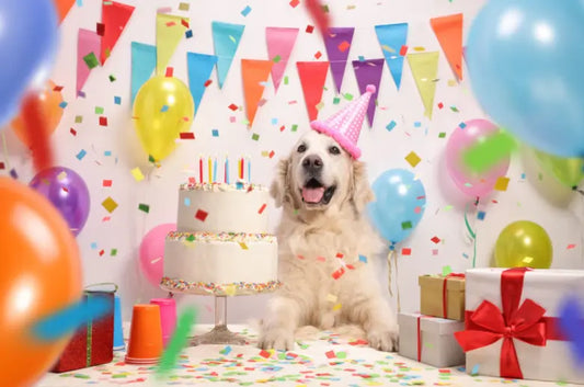 dog birthday treats