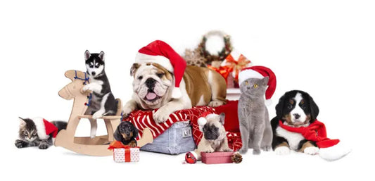 dog christmas bandana	