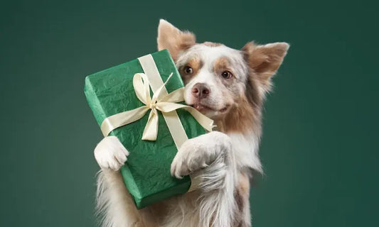 dog gift boxes australia