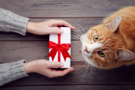 Pet Gift Boxes Australia 