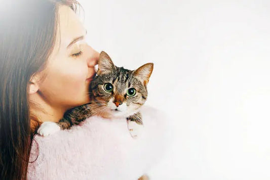 Cat body language
