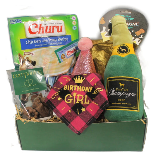 Birthday Girl Bandana & Bubbles Dog Gift Box 🎉🐾