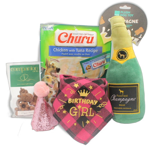 Birthday Girl Bandana & Bubbles Dog Gift Box 🎉🐾
