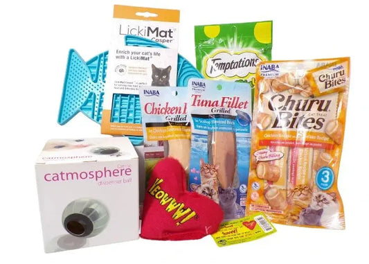 Cat Gift Box with toys treats and interactive treat dispenser