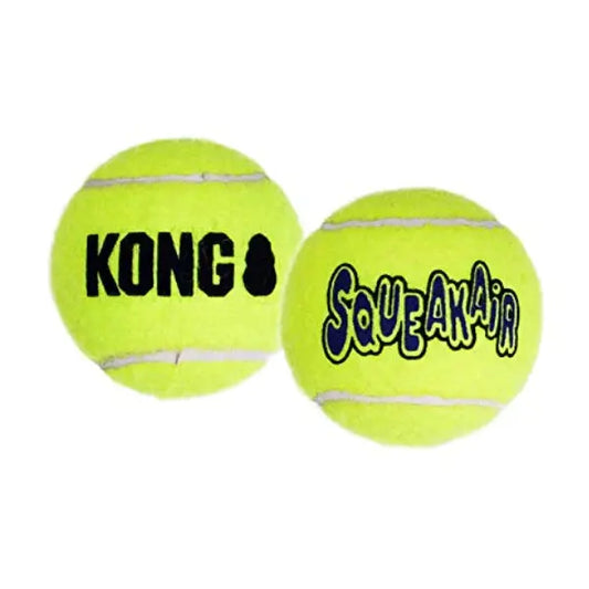 KONG dog toy for dogs who love to play fetch