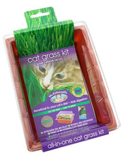 mr-fothergills-cat-grass-kit-mini-greenhouse