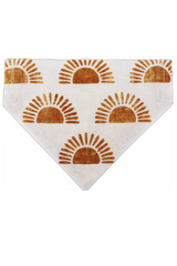 Stylish Sunny Bandana for cats and dogs